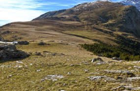 captura de pantalla 2025 04 25 a les 200023 captura de pantalla 2025 04 25 a les 200023