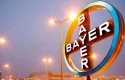 cbbayer3 cbbayer3