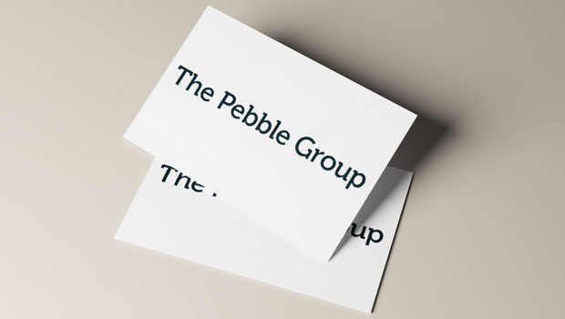 dl the pebble group objetivo productos promocionales servicios tecnología mercancía logo