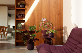 elho winery 2 20250120192616 