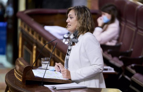 ep archivo   la diputada del gpp en el congreso de los diputados milagros marcos interviene en una