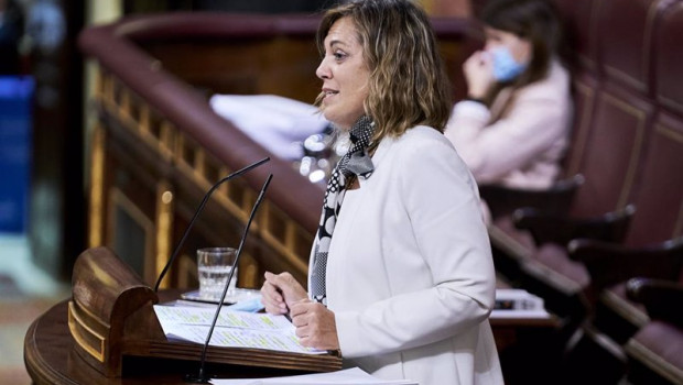 ep archivo   la diputada del gpp en el congreso de los diputados milagros marcos interviene en una