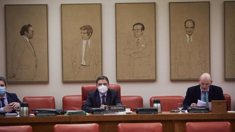 El Ministro de Agricultura, Pesca y Alimentación, Luis Planas (c), comparece en la comisión de su departamento en Sala Constitucional del Congreso de los Diputados. | EUROPA PRESS/J. Hellín. POOL - Europa Press ep el ministro de agricultura pesca y alimentacion luis planas c comparece en la comision de su