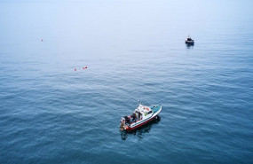ep hyundai motor apoya a healthy seas con una inmersion en newcastle para recuperar redes de pesca