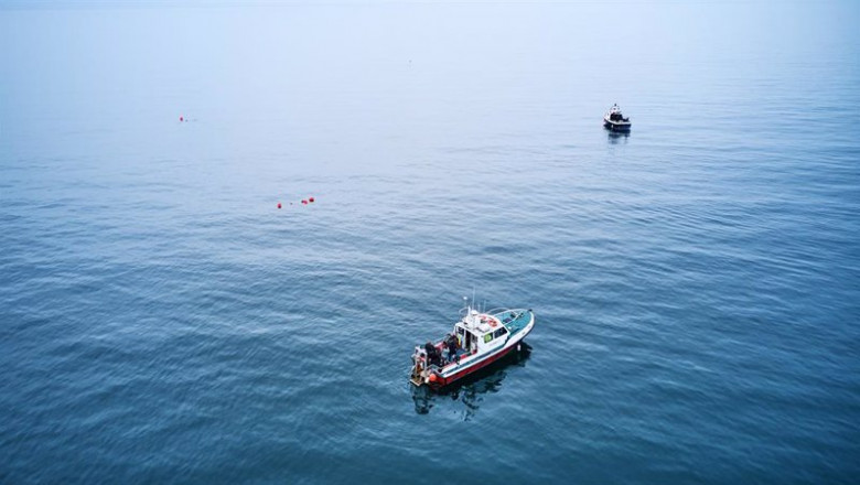 ep hyundai motor apoya a healthy seas con una inmersion en newcastle para recuperar redes de pesca