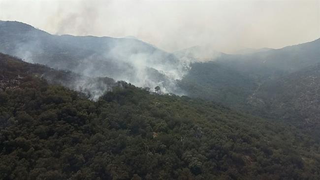 Incendio activo en Llutxent (Comunidad Valenciana) | MAPA ep incendio activollutxent comunidad valenciana