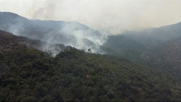 ep incendio activollutxent comunidad valenciana