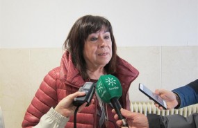 ep la presidentapsoe cristina narbona atiendelos periodistas