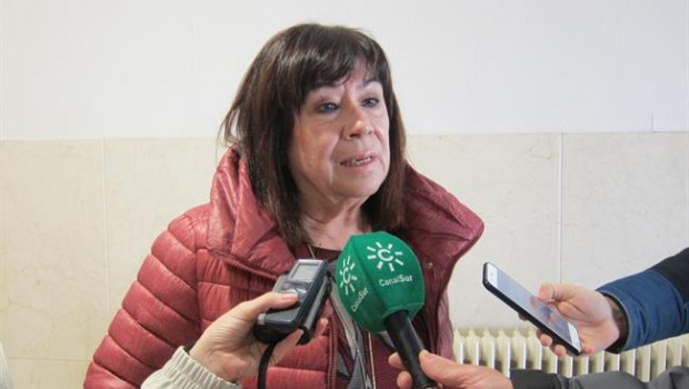ep la presidentapsoe cristina narbona atiendelos periodistas