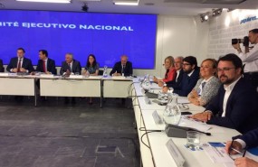 ep mercedes fernandezcomite ejecutivo nacionalpp