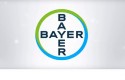 ep nueva imagenbayer ep nueva imagenbayer
