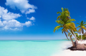 ep punta cana 20250121120203