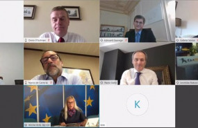 ep reunion virtual de distribuidores europeos de gas con la comisaria europea de energia