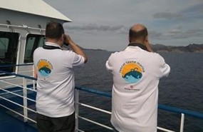 ep tecnicos avistan cetaceosmediterraneo