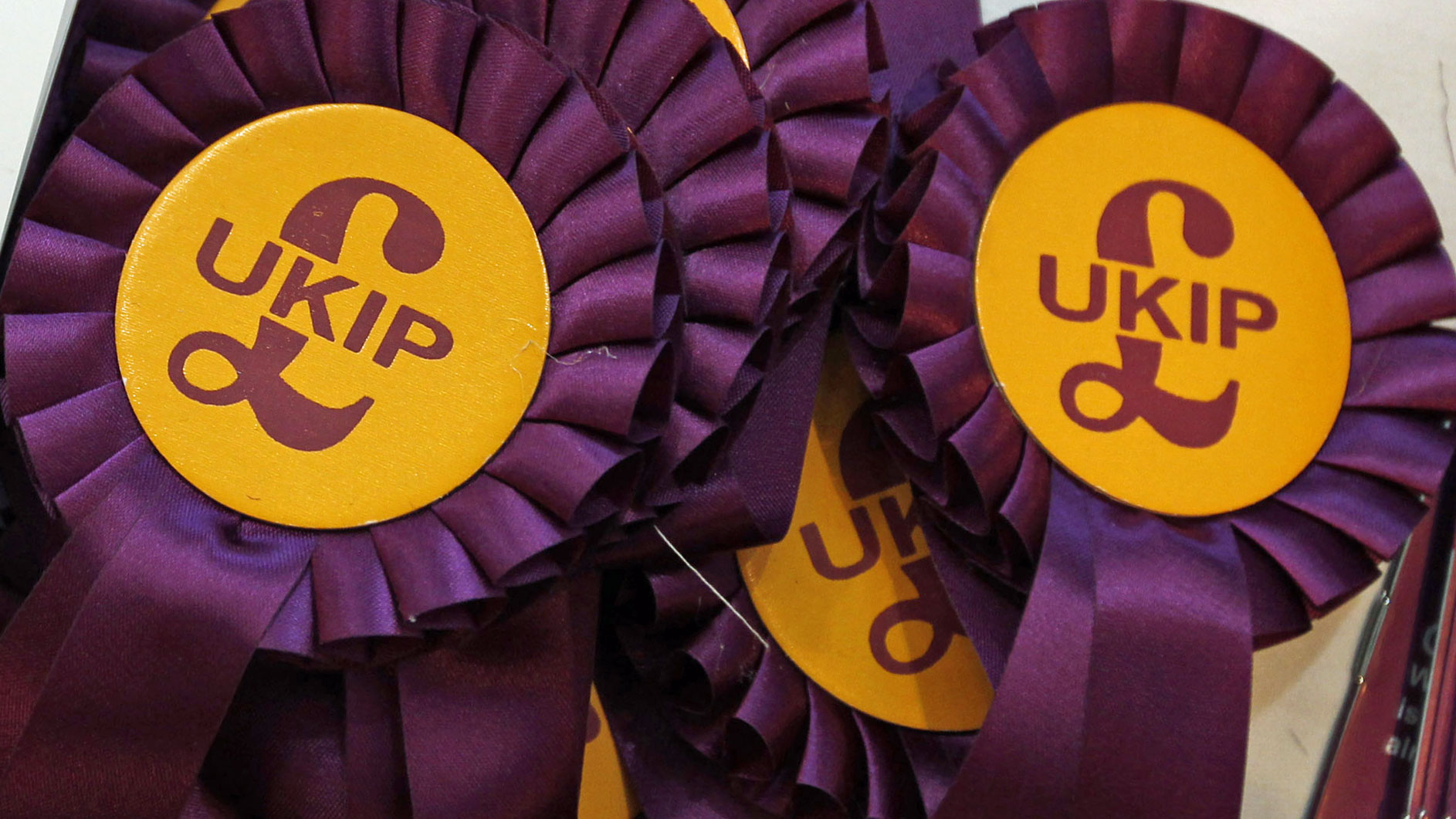 ukip ukip