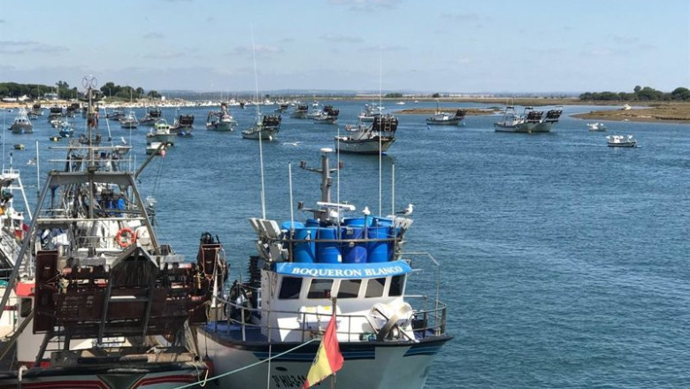 Archivo - Barcos pesqueros en Punta Umbría. | EUROPA PRESS - Archivo ep archivo barcos pesqueros en punta umbria