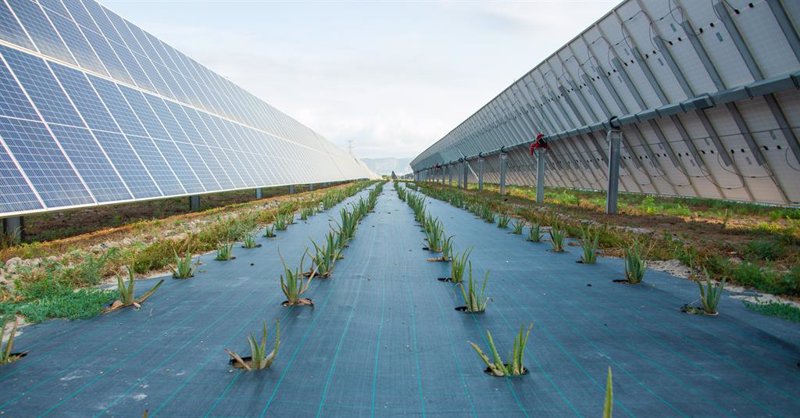 ep archivo   instalacion solar de endesa