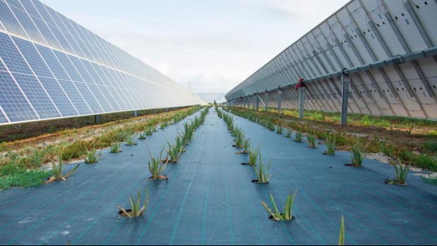 ep archivo   instalacion solar de endesa