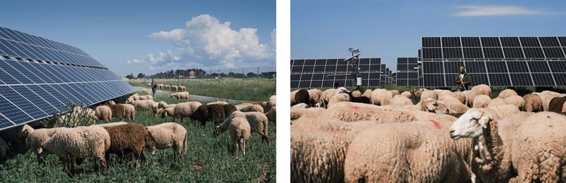 ep dos plantas solares de endesa reciben el sello de excelencia para la sostenibilidad de unef ep dos plantas solares de endesa reciben el sello de excelencia para la sostenibilidad de unef