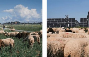 ep dos plantas solares de endesa reciben el sello de excelencia para la sostenibilidad de unef ep dos plantas solares de endesa reciben el sello de excelencia para la sostenibilidad de unef