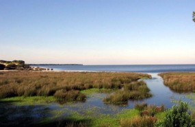 ep espacio naturaldonana