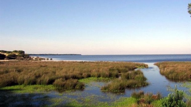 ep espacio naturaldonana