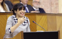 ep la dirigenteadelante andaluciateresa rodriguez endebateinvestidura enfotoarchivo ep la dirigenteadelante andaluciateresa rodriguez endebateinvestidura enfotoarchivo