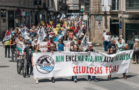 ep numerosas personas participan en una marcha festiva a 24 de mayo de 2026 en pontevedra galicia