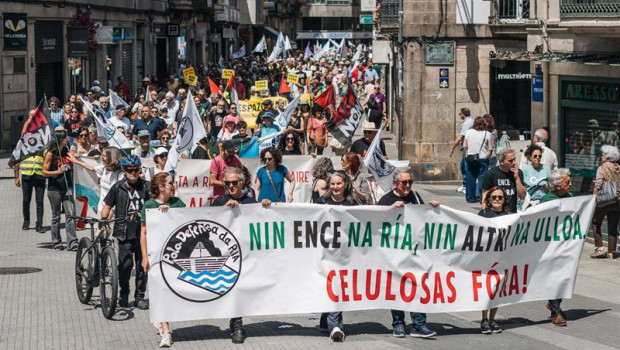 ep numerosas personas participan en una marcha festiva a 24 de mayo de 2026 en pontevedra galicia