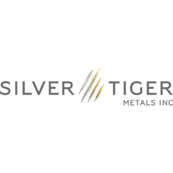 silver tiger