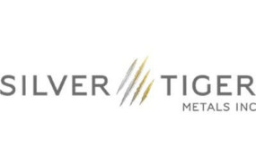 silver tiger