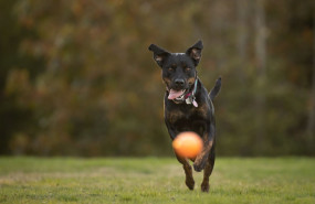 123 83 20230925155528 