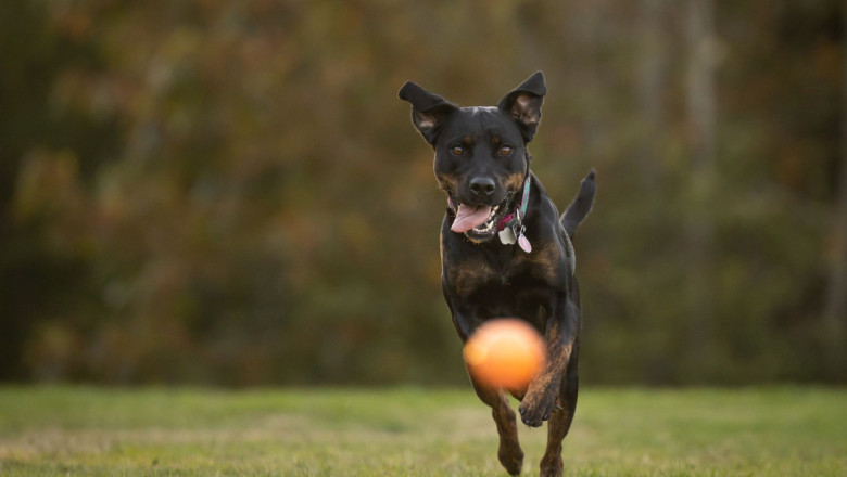 123 83 20230925155528 