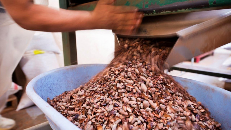 1599821056 imagen proceso de fabricaci n del chocolate