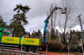 1654256418 florama podas 1654256418 florama podas