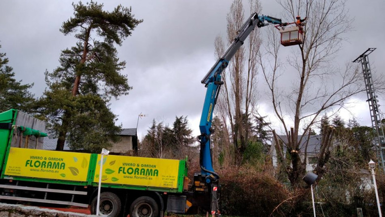 1654256418 florama podas