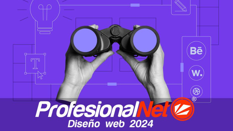 diseo web 2024