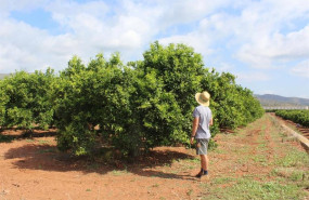 ep agricultor en un campo