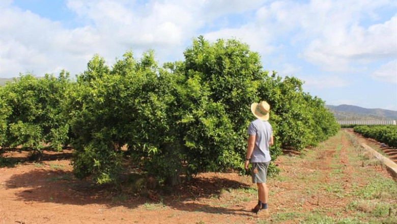 ep agricultor en un campo