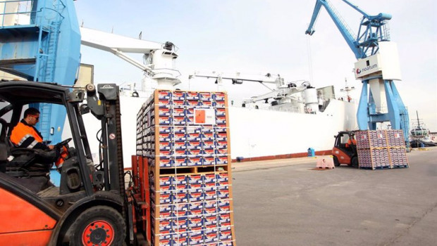 ep archivo - exportaciones