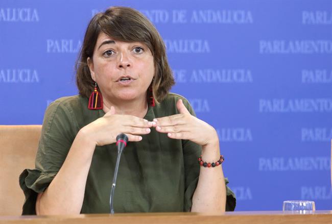 ep elena cortes de iulv-ca enparlamento
