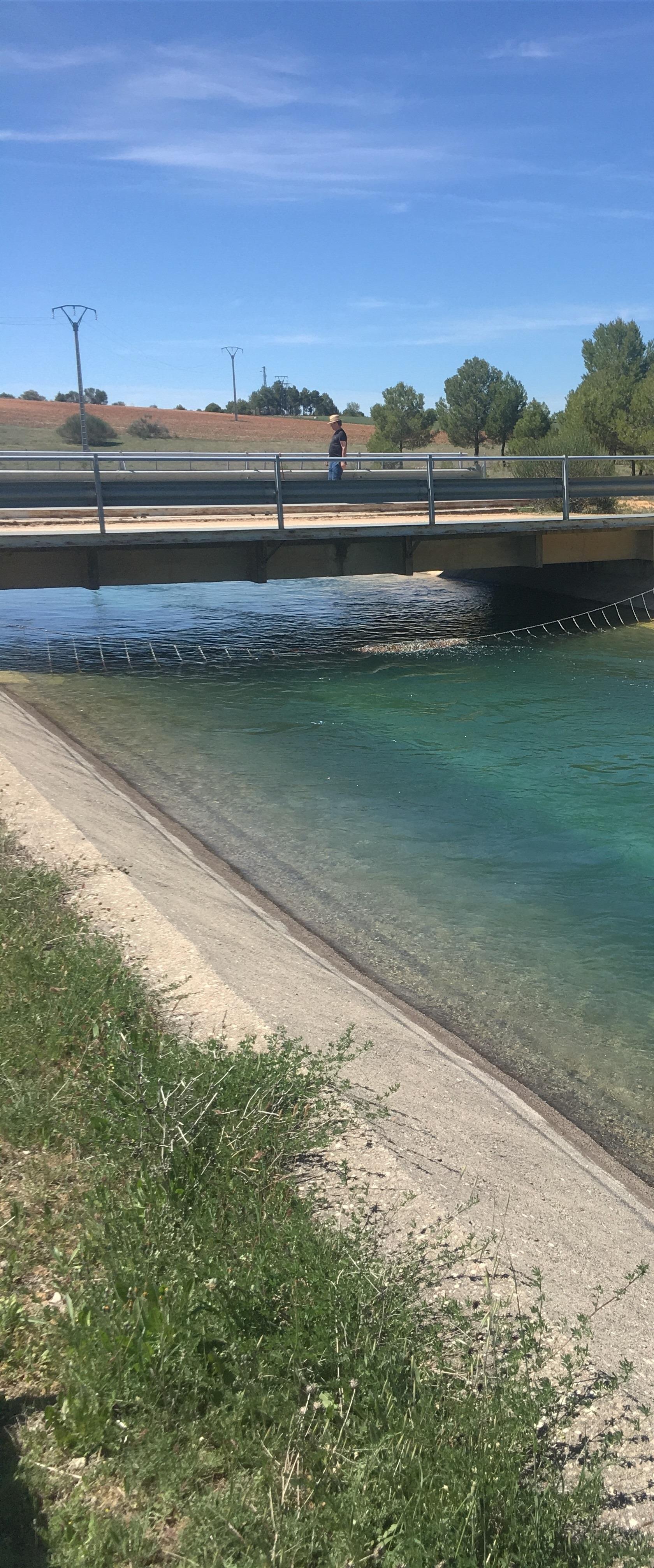 ep embalse trasvase riego regadio agua canal tajo-segura 20170620145209