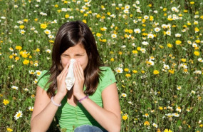 ep hayfever or allergy child blowing nose