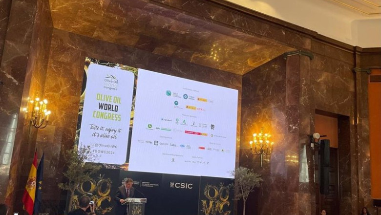 ep luis planas en la clausura del oowc
