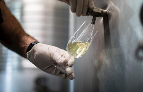 ep un trabajador de la empresa txakoli txabarri denominacion de origen vinos de euskadi sirve en una