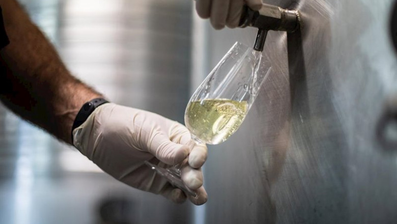 Un trabajador de la empresa Txakoli Txabarri denominación de origen 'Vinos de Euskadi' sirve en una copa vino blanco de una barrica de su bogeda. | Iñaki Berasaluce - Europa Press - Archivo ep un trabajador de la empresa txakoli txabarri denominacion de origen vinos de euskadi sirve en una
