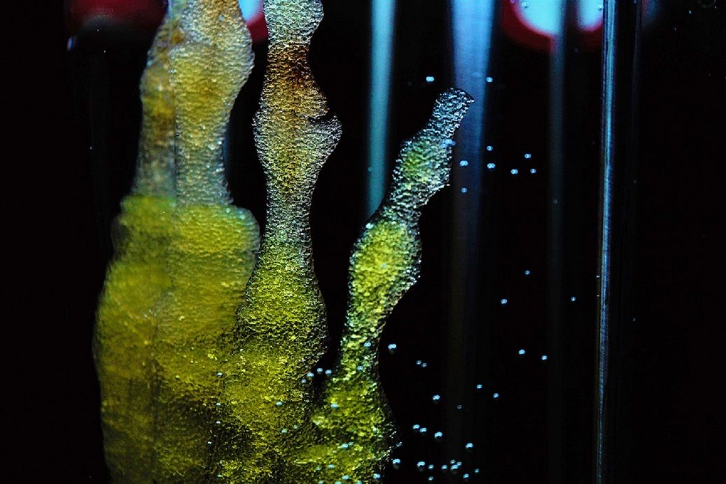 1565701252 imagen 1565701252 imagen