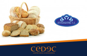 1606554761 cedecinterbread cast