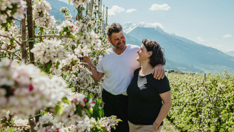 1619601065 floracion vv 