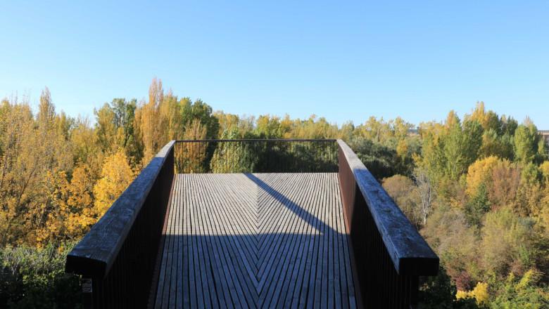 almazan 7 20251015112127 